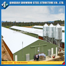 Weld H Column Beam Prefabricated Steel Chicken Shed Prefab Poultry House